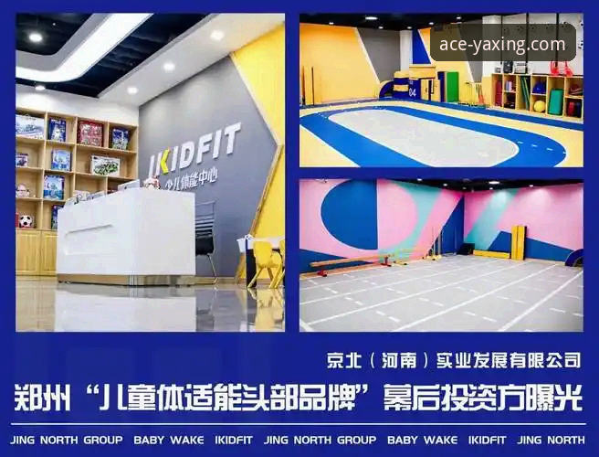 亚星体育平台登录与安装难题深度评测：从“亚星官网登录不了怎么办安装失败”看用户体验优化